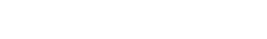 The Mundy Firm PLLC