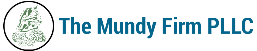 The Mundy Firm PLLC